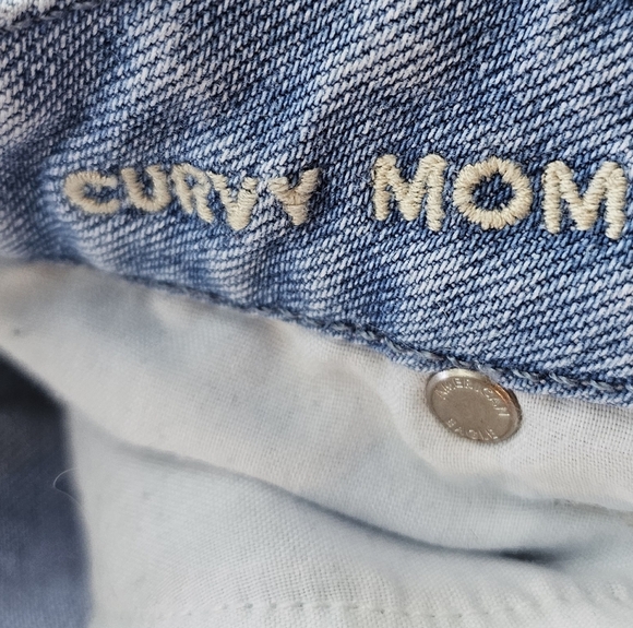 American Eagle Outfitters Strigid Curvy Mom Jeans Short - Picture 4 of 5